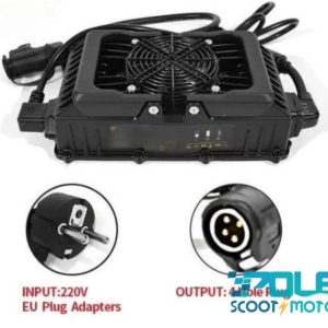 CHARGEUR 85V 12A